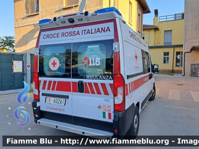 Fiat Ducato X290 
Croce Rossa Italiana
Comitato di Cesena (FC)
Ambulanza
Postazione estiva di Cervia (RA)
FC 47 10-44
CRI 602 AI
Parole chiave: Fiat Ducato_X290 CRI602AI