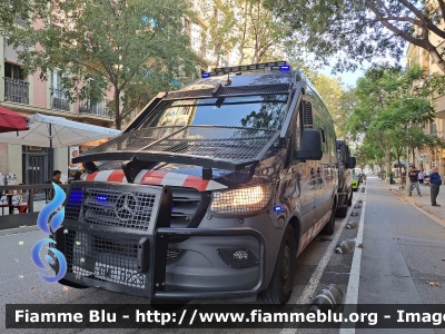 Mercedes-Benz Sprinter IV serie
España - Spagna
Mossos d'Esquadra - Polizia della Catalogna
Brigata Mobile
CME 0229
Parole chiave: Mercedes-Benz Sprinter_IVserie mossos_d'esquadra