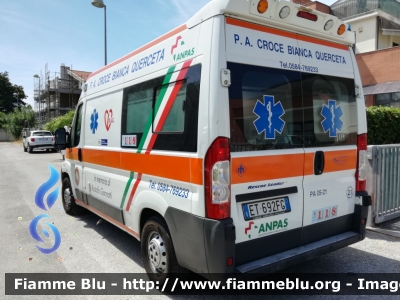 Fiat Ducato X250
Pubblica Assistenza Croce Bianca Querceta (LU)
Ambulanza d'emergenza Bravo_1212
Automezzo 21
Allestimento Mariani Fratelli
Parole chiave: Fiat_Ducato Ambulanza PA_Querceta