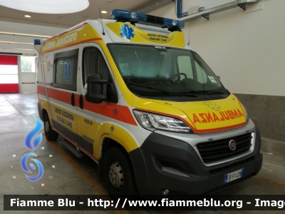 Fiat Ducato X290
P.A. Croce Azzurra Figline Valdarno (FI)
Ambulanza 9
Allestimento Mariani Fratelli
Parole chiave: Fiat Ducato_X290 croce_azzurra_figline_valdarno