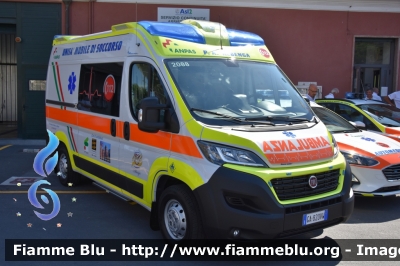 Fiat Ducato X290
Croce Bianca Albenga
