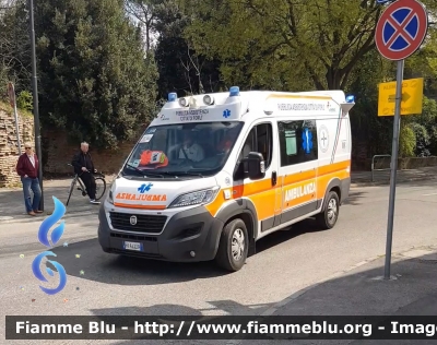 Fiat Ducato X290
Pubblica Assistenza Città di Forlì
Allestita Vision
Tango 338
Parole chiave: Fiat Ducato_X290 Ambulanza