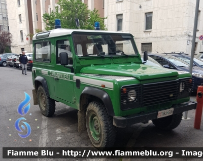 Land-Rover Defeder 90
Carabinieri
Comando Carabinieri Unità per la tutela Forestale, Ambientale e Agroalimentare
CC BJ 506
Parole chiave: Land-Rover Defeder_90 CCBJ506