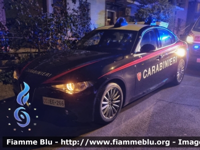 Alfa Romeo Nuova Giulia
Carabinieri
Nucleo Operativo Radiomobile
Allestimento FCA
CC EE 266
Parole chiave: Alfa-Romeo Nuova_Giulia CCEE266