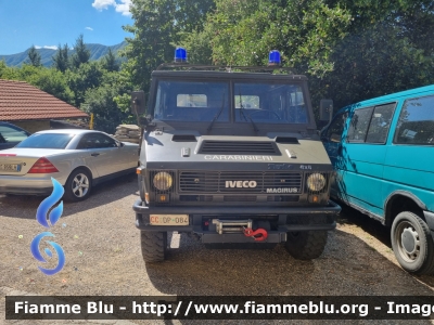 Iveco VM90
Carabinieri
Comando Carabinieri Unità per la tutela Forestale, Ambientale e Agroalimentare
Parco Nazionale Foreste Casentinesi
CC DP 084
Parole chiave: Iveco VM90 CCDP084