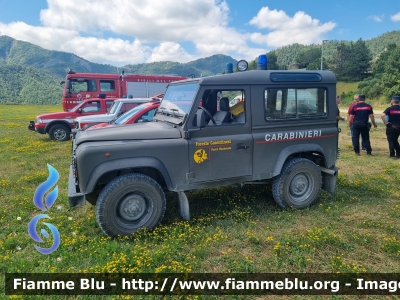 Land-Rover Defender 90
Carabinieri
Comando Carabinieri unità per la tutela Forestale Ambientale ed Agroalimentare
CC BU 087
Parole chiave: Land-Rover Defender_90 CCBU087