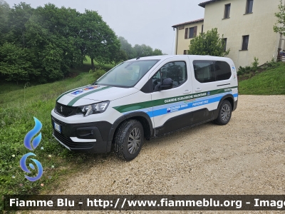 Peugeot Rifter
Protezione Civile
Guardie Ecologiche Volontarie
