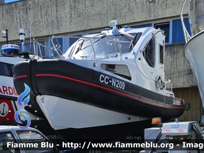 Med Defence RIB Ibrido classe N200
Carabinieri
N209
