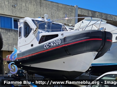 Med Defence RIB Ibrido classe N200
Carabinieri
N209
