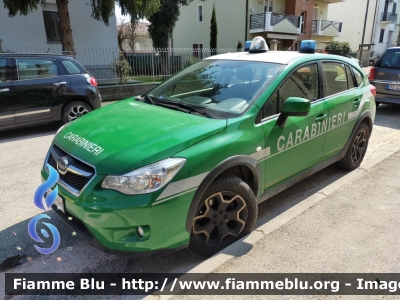 Subaru XV I serie
Carabinieri
Comando Carabinieri Unità per la tutela Forestale, Ambientale e Agroalimentare
CC DQ 560
