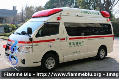 Toyota HiAce
日本国 Nippon-koku - Giappone
 東京消防庁 Tokyo Shōbōchō - Vigili del fuoco Tokyo 
Parole chiave: Ambulanza Toyota HiAce