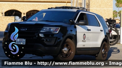 Ford Explorer
United States of America - Stati Uniti d'America
Los Angeles CA Police Department
