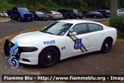 Dodge Charger
United States of America - Stati Uniti d'America
Palisades Parkway NJ Police
