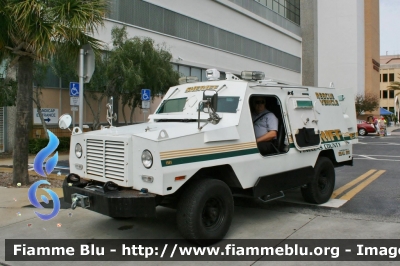 ??
United States of America - Stati Uniti d'America
Pinellas County Sheriff FL
