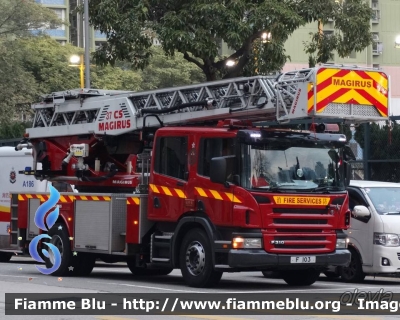 Scania P310
香港 - Hong Kong
消防處 - Fire Services Department
