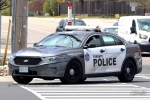 309468087_489266953213807_3970090716524333178_nToronto_Police_Service.jpg