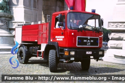 Man ?
Koninkrijk België - Royaume de Belgique - Königreich Belgien - Belgio
Brandweer Maaseik
