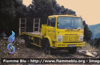 Renault ?
France - Francia
Service Departemental des Sapeurs Forestiers Corse du Sud
