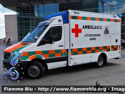 Mercedes-Benz Sprinter III serie restyle
Grand-Duché de Luxembourg - Großherzogtum Luxemburg - Grousherzogdem Lëtzebuerg - Lussemburgo
Esercito del Lussemburgo - Lëtzebuerger Arméi
Parole chiave: Ambulanza Ambulance