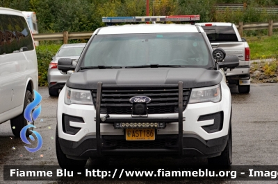 Ford Explorer
United States of America-Stati Uniti d'America
Alaska State Trooper
