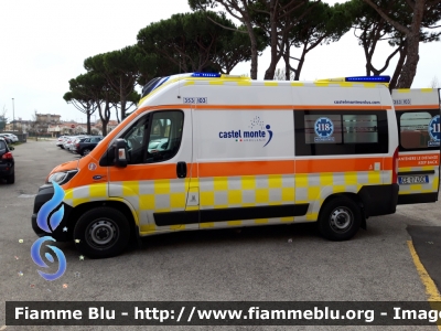 Fiat Ducato X290 
Cooperativa sociale Castel Monte Onlus
Ambulanza convenzionata
SUEM 118 Venezia Emergenza
Ospedale di Jesolo (VE)
"353" "INDIA 3"
Allestimento Orion 
Parole chiave: Fiat Ducato_X290 Ambulanza