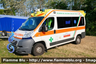 Fiat Ducato X250 
P.A. Croce Verde Cavallino Treporti (VE)
in convenzione SUEM 118 Cavalllino Emergenza
Allestimento Aricar
"INDIA CHARLIE 4" 
Parole chiave: Fiat Ducato_X250 Ambulanza