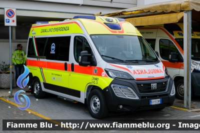 Fiat Ducato X290 
P.A. Croce Verde Cavallino Treporti (VE)
in convenzione SUEM 118 Cavalllino Emergenza
Allestimento Aricar
"INDIA CHARLIE 3" 
Parole chiave: Fiat Ducato_X290 Ambulanza