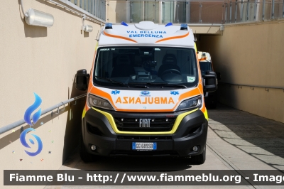 Fiat Ducato X290 
Val Belluna Emergenza
in convenzione SUEM 118 Belluno
Allestimento Ambitalia
"INDIA 14"
Parole chiave: Fiat Ducato_X290 Ambulanza