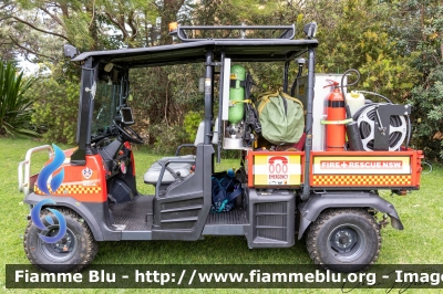 ??
Australia
New South Wales Fire Service
