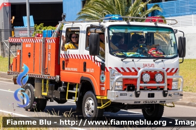 Isuzu ?
Australia
NSW Rural Fire Service
