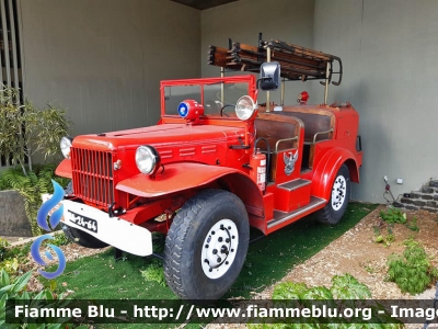 ??
Portugal - Portogallo
Madeira - Bombeiros Voluntários Madeirenses
