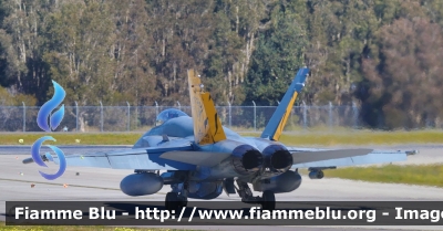 McDonnell Douglas F/A-18 Hornet
Australia
Royal Australian Air Force RAAF
