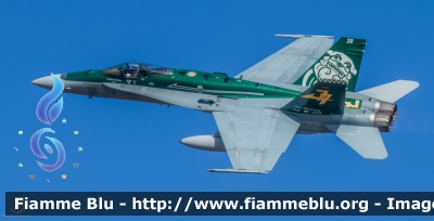 McDonnell Douglas F/A-18 Hornet
Australia
Royal Australian Air Force RAAF
