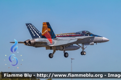 McDonnell Douglas F/A-18 Hornet
Australia
Royal Australian Air Force RAAF
