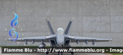 McDonnell Douglas F/A-18 Hornet
Australia
Royal Australian Air Force RAAF
