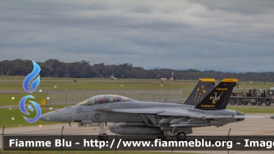 McDonnell Douglas F/A-18 Hornet
Australia
Royal Australian Air Force RAAF
