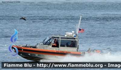 Imbarcazione
United States of America - Stati Uniti d'America
US Coast Guard
USCG 29208
