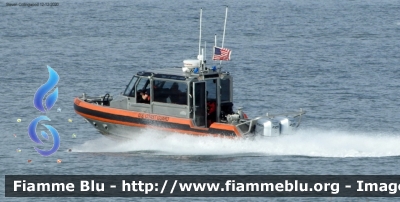 Imbarcazione
United States of America - Stati Uniti d'America
US Coast Guard
USCG 29208
