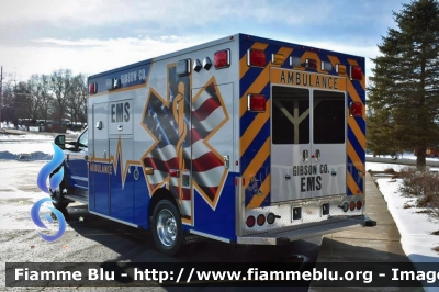 Ford F-450
United States of America - Stati Uniti d'America
Gibson County EMS Oakland City IN
Parole chiave: Ambulanza Ambulance