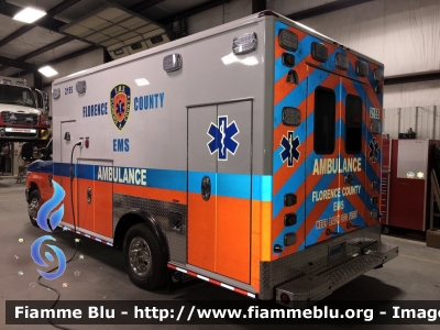 Ford E-450
United States of America-Stati Uniti d'America
Florence County SC EMS
Parole chiave: Ambulance Ambulanza