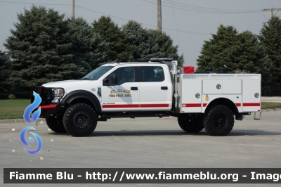 Ford F-550
United States of America-Stati Uniti d'America
St. Clair MO Fire Protection District
