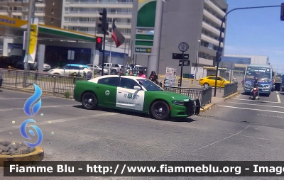 Dodge Charger
República de Chile - Chile - Cile
Carabineros de Chile
