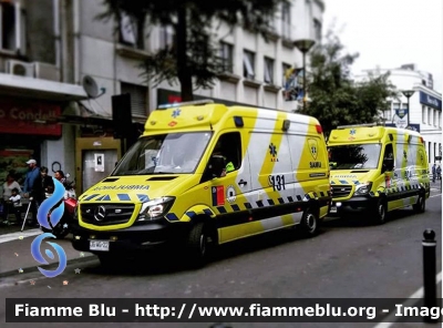 Mercedes-Benz Sprinter III serie restyle
República de Chile - Chile - Cile
SAMU Concepción
Parole chiave: Mercedes-Benz Sprinter_IIIserie_Restyle Ambulanza Ambulance