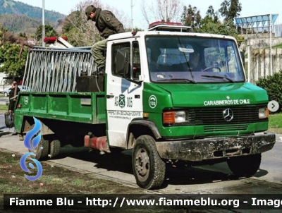 Mercedes-Benz Vario 
República de Chile - Chile - Cile
Carabineros de Chile
