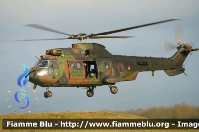 Eurocopter AS 532 Cougar
Nederland - Paesi Bassi
Koninklijke Luchtmacht
