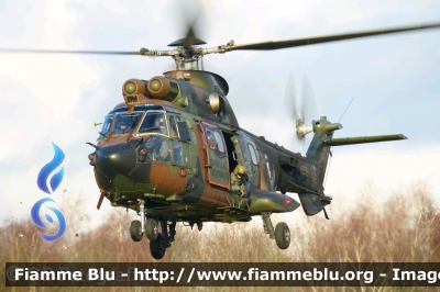 Eurocopter AS 532 Cougar
Nederland - Paesi Bassi
Koninklijke Luchtmacht
