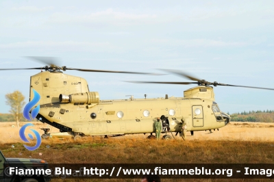 Boeing CH47D Chinhook
Nederland - Paesi Bassi
Koninklijke Luchtmacht
