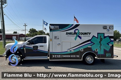 Ford F-550
United States of America-Stati Uniti d'America
Shelby County EMS KY
Parole chiave: Ambulance Ambulanza