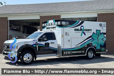 Ford F-550
United States of America-Stati Uniti d'America
Shelby County EMS KY
Parole chiave: Ambulance Ambulanza