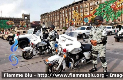 Harley Davidson
Mexico - Messico
Guardia National
